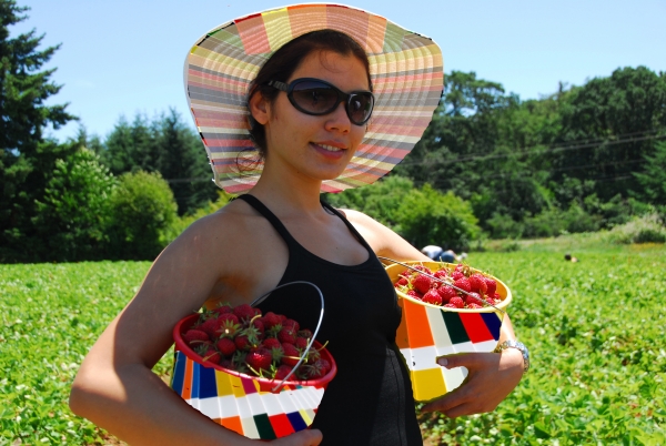 Creation of Strawberry Season : Step 4